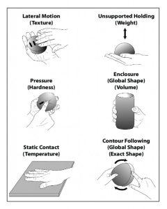 Fig.1